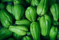 福建吃瓜最新事件爆料,揭秘神秘幕后真相