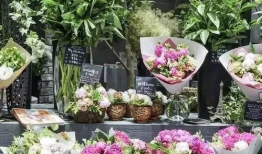 花店老板娘吃瓜爆料,娱乐圈那些不为人知的幕后故事